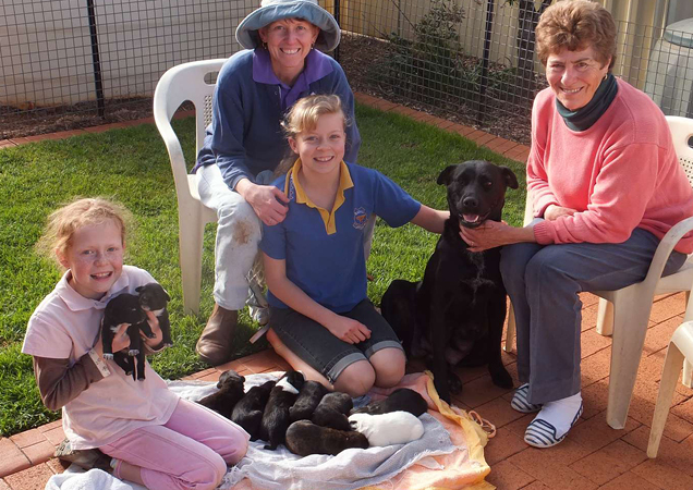 Judy with her foster dog and puppies, and her neighbours.